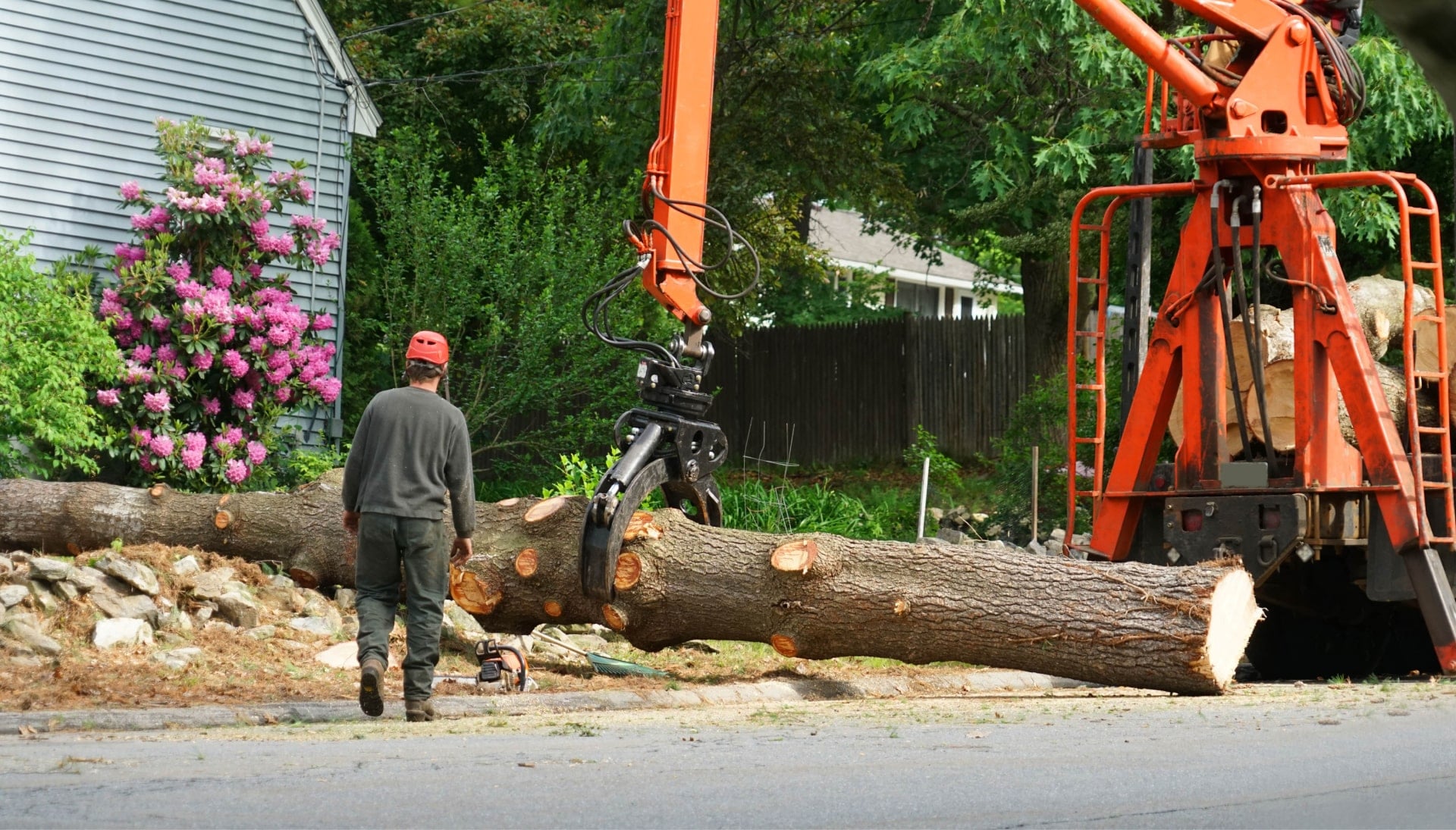 Heavy machinery is used to remove a tree after cutting in a Baltimore, MA yard