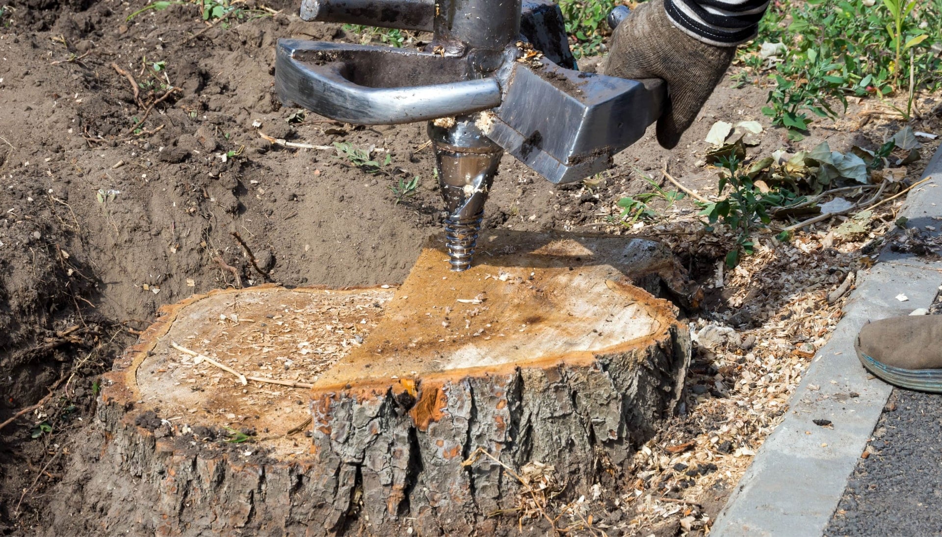 A professional tree removal expert removes a tree trunk from a Baltimore, MD yard.